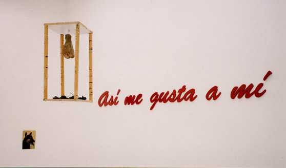 Pablo Alonso Herriz. "As me gusta a m", 2000. Una de las intervenciones de la exposicin "Parada cardiaca".