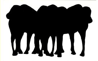 Ilias Selfati. " Caballos ", 2002. Tinta de imprenta sobre papel.