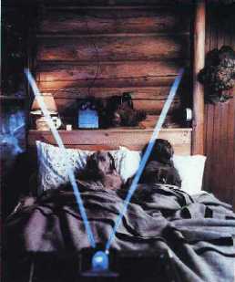 William Wegman. "Man Ray & Mrs. Lubner in bed watching TV", 1981. Polaroid. 101'6 x 76 cms.